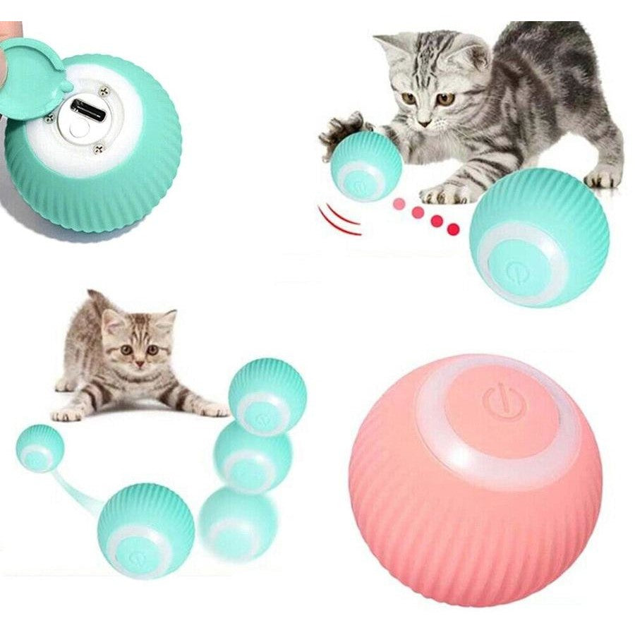 🐱 Power Ball® -La pelota que jamás aburrirá a tu gato