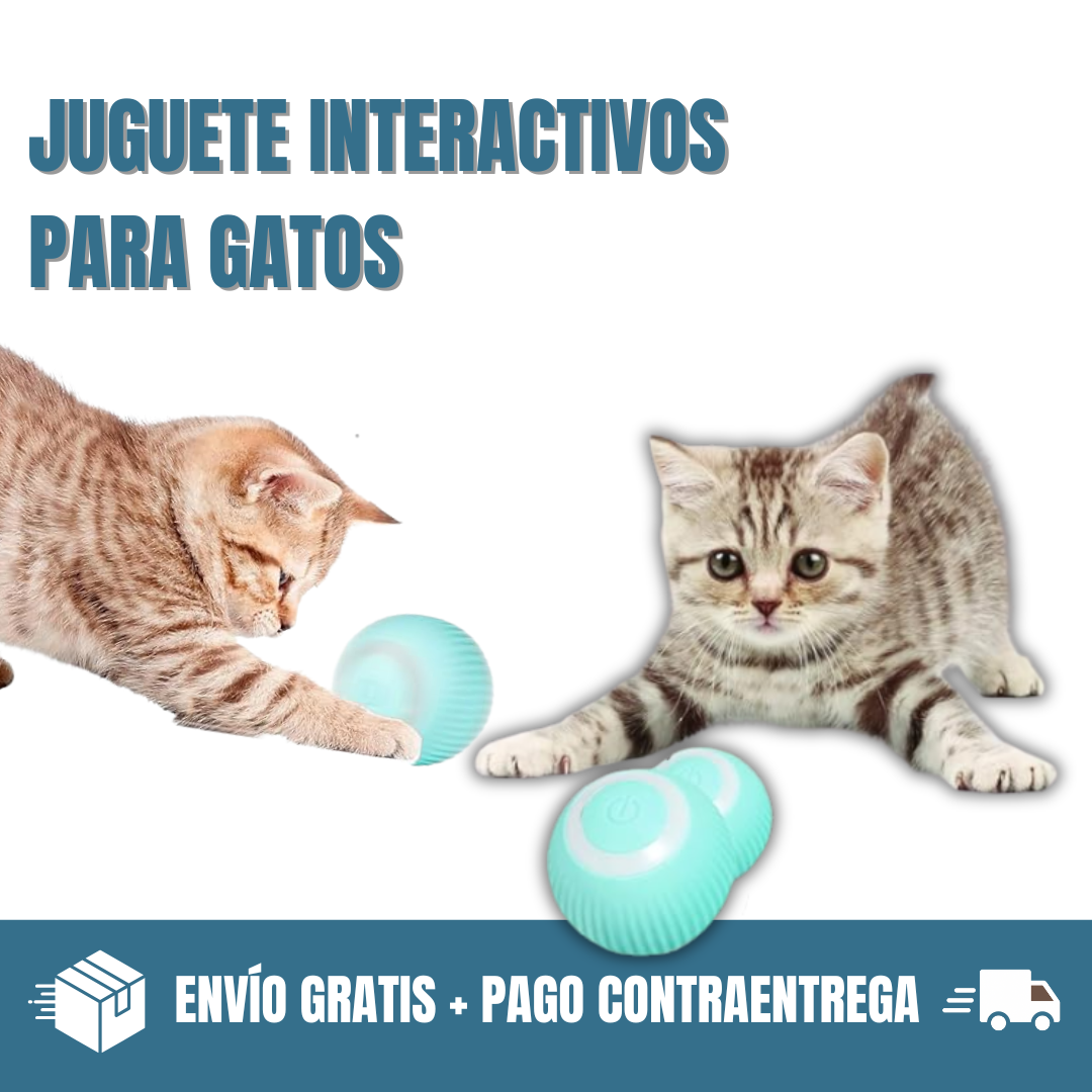 🐱 Power Ball® -La pelota que jamás aburrirá a tu gato