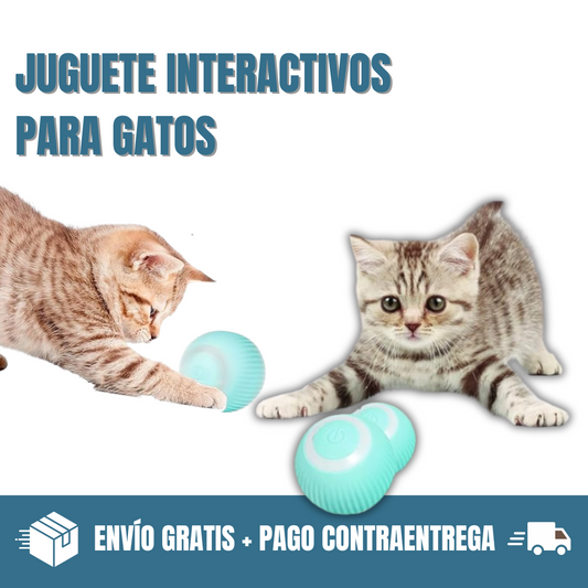 🐱 Power Ball® -La pelota que jamás aburrirá a tu gato