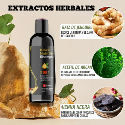 BLACK HAIR DYE™ - SHAMPOO 3 EN 1